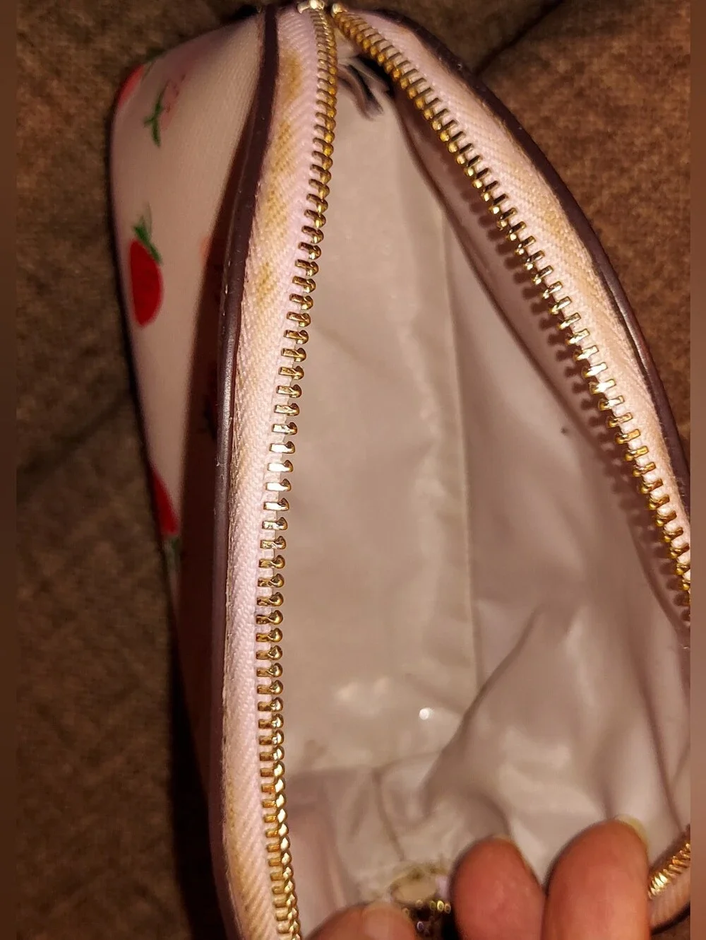 Kate Spade Strawberries Pink Mini Cosmetic Pouch